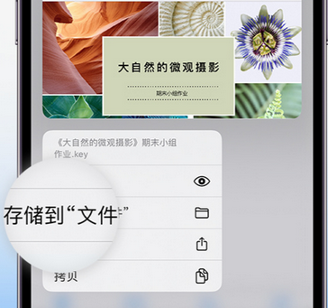 吉隆apple维修中心分享iPhone文件应用中存储和找到下载文件