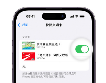 吉隆apple维修点分享iPhone上更换Apple Pay快捷交通卡手绘卡面 