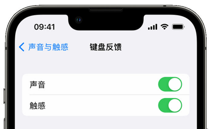 吉隆苹果手机维修分享iPhone 14触感键盘使用方法 