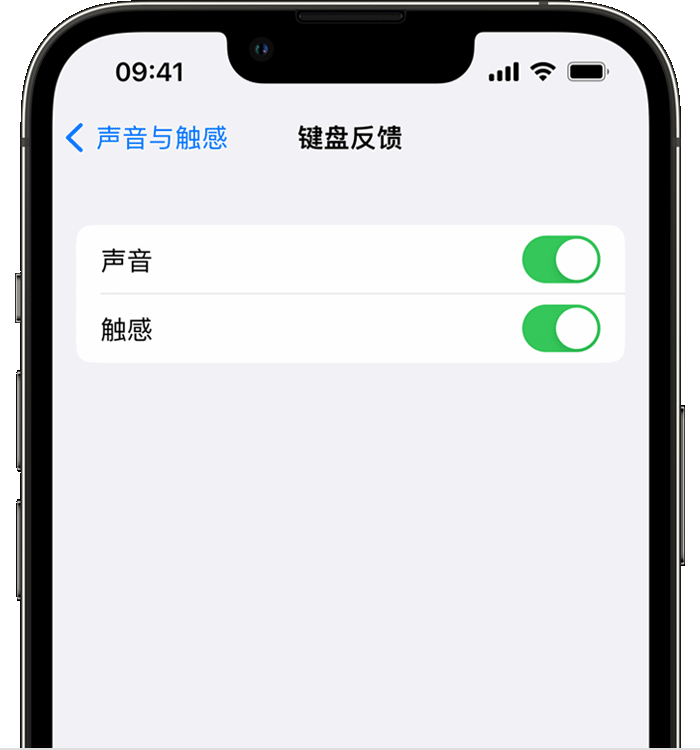 吉隆苹果14维修店分享如何在 iPhone 14 机型中使用触感键盘 