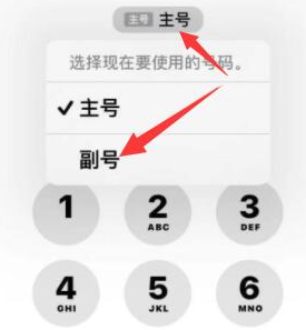 吉隆苹果14维修店分享iPhone 14 Pro Max使用副卡打电话的方法 