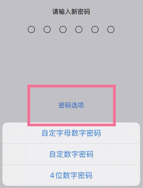 吉隆苹果14维修分享iPhone 14plus设置密码的方法 