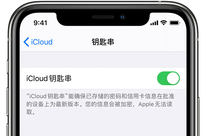 吉隆苹果手机维修分享在 iPhone 上开启 iCloud 钥匙串之后会储存哪些信息 